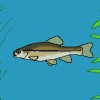 @c04511234@lemmy.world avatar