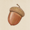 @jasu@mastodon.social avatar
