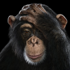 @tekdeb@mastodon.social avatar