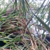 @fodrow@mastodon.social avatar