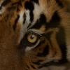 @noncleaner@mastodon.social avatar
