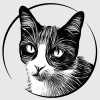 @callionica@mastodon.social avatar
