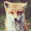 @khalyst0@mastodon.social avatar