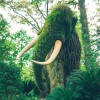@lucasbs@mastodon.social avatar