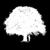 @legarcondelautomne@mastodon.social avatar