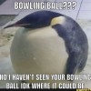 @Whimsical418@aussie.zone avatar