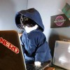 @rnbwkat@infosec.exchange avatar