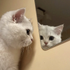 @didek@101010.pl avatar