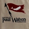 @Allkinds@mastodon.social avatar