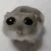 @Deflated0ne@lemmy.world avatar