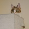 @morton@pol.social avatar