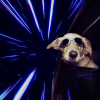 @3manuello@mastodon.social avatar