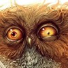 @Yurt_Owl@hexbear.net avatar