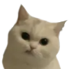 @mtsz@mastodon.com.pl avatar