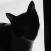 @ean_rv@mastodon.social avatar