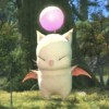 @DearMoogle@piefed.social avatar