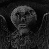 @DarkGalloway@mastodon.scot avatar