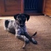 @Sarahw@mastodon.green avatar