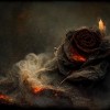 @mariam_al_masri_author@zirk.us avatar