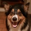 @mcgreg1803@mastodon.social avatar