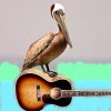 @dockwalk@mastodon.social avatar