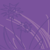 @siliconsulfide8@fedia.io avatar