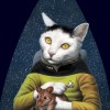 @Spot@startrek.website avatar