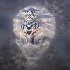 @_timemit_@mastodon.scot avatar
