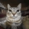 @TeraMaster@mastodon.social avatar