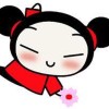 @oshin@pol.social avatar