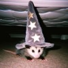 @Sheltr@piefed.social avatar