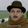 @kajdan@pol.social avatar