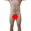 @Fungi@lemmy.ca avatar