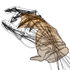 @jakski@101010.pl avatar