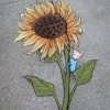 @DavidZinn@pixelfed.social avatar