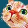@joyousjoyness@mastodon.social avatar