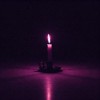 @animaviola@mastodon.social avatar