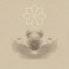 @aonisastrum@mastodon.social avatar