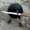 @corvidenjoyer@hexbear.net avatar