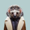 @feral_hedgehog@pawb.social avatar