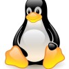 @aurorachrysalis@lemmy.ml avatar