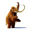@Marekmar@mastodon.com.pl avatar