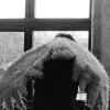 @bloch_maja@zug.network avatar