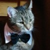 @Misanthrope@lemmy.ml avatar