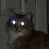@lasers4eyes@piefed.social avatar