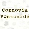 @Vibracobra23@vivaldi.net avatar