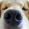 @in_the_middle_of_jun@mastodon.social avatar