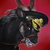 @vaskaraeca@mastodon.social avatar