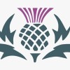 @BylinesScotland@mastodon.social avatar