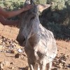 @Fer026@mastodon.social avatar